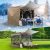 COBIZI 12×12 Pop up Gazebo Screen House Tent for Camping, Outdoor Canopy Tent with Removable Roof&Sidewalls, Portable Hub Tent with Carrying Bag and Ground Stakes, Khaki(Upgraded 2.0)
