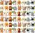 Leitee 48 Pack Mini Plush Animals Toys Set 4.7 Inch Stuffed Animal Keychain Small Goodie Bag Fillers for Easter Hunts, Valentine, Carnival Prizes, Jungle Party